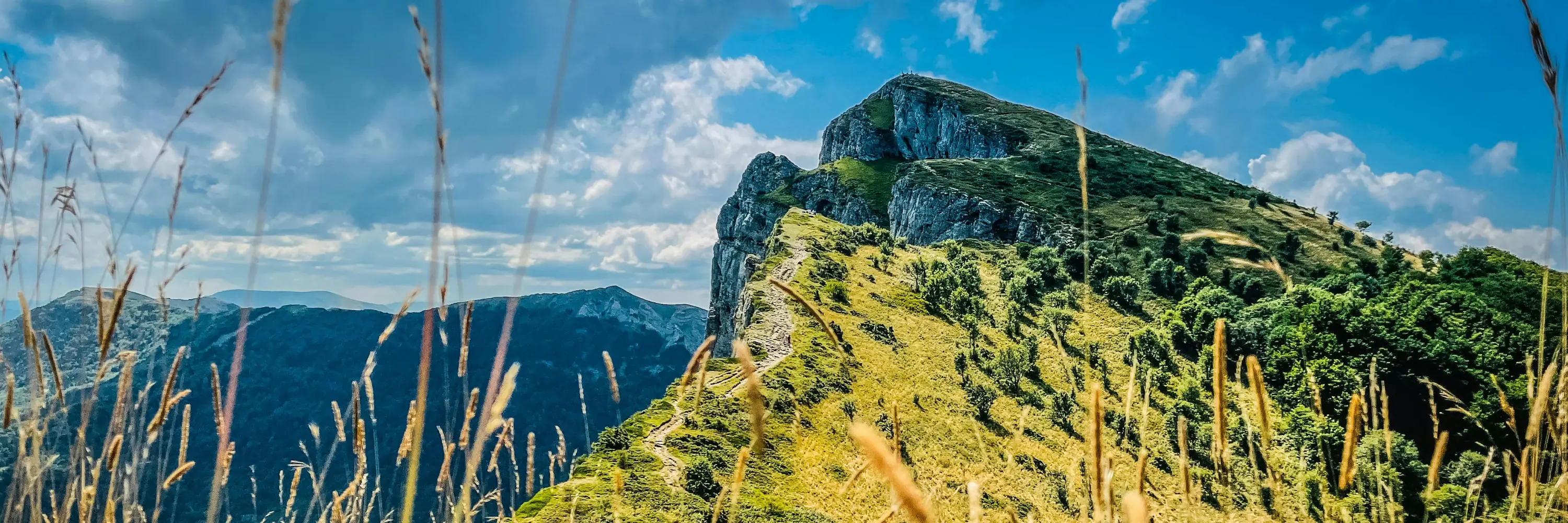 Chambres d'hôtes de la Ronville