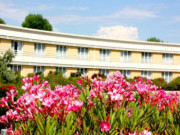 Hôtel Mount Ventùri - Restaurant Acampa