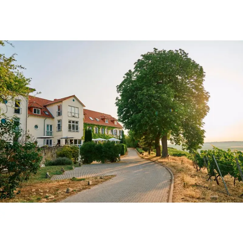 Hofgut Wißberg - Das Weinberghotel