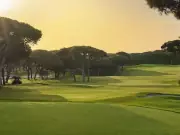 Pine Cliffs Golf Course