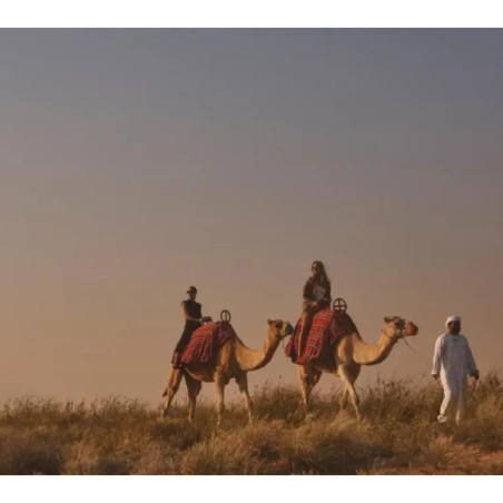 Four Seasons Resort Dubai at Jumeirah Beach_4