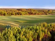 Hossegor (40) - Stage VIP SOLO d'une demi-journée - parcours 9 Trous avec un enseignant EGF de l'Académie des Landes