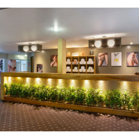 Forest Pines Spa & Golf Resort_1