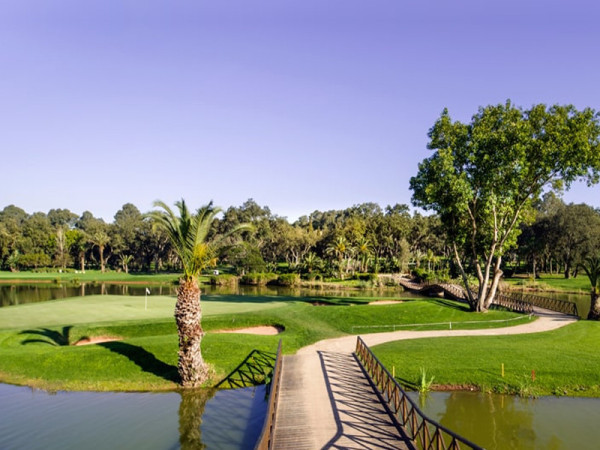 Séjour golf, cours, tee time & séminaire au Maroc