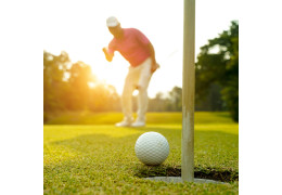 Le corps ne fait pas ce qu’on lui demande, il fait ce qu’on imagine Le corps ne fait pas ce qu’on lui demande, il fait ce qu’on imagine