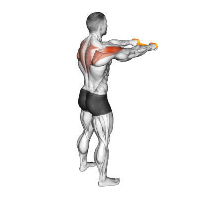 Oiseau avec élastique : un renforcement clé pour les épaules du golfeur Oiseau avec élastique : un renforcement clé pour les épaules du golfeur