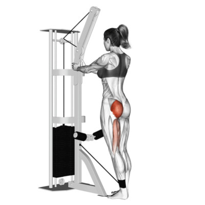 Extension de la hanche à la poulie – Spécial Golf Extension de la hanche à la poulie – Spécial Golf