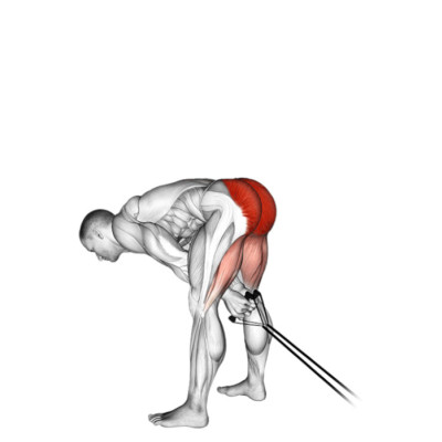 Pull Through à la poulie – Spécial Golf Pull Through à la poulie – Spécial Golf