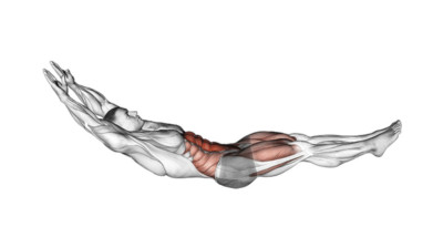 Hollow hold - Musculation ciblé, adapté au golfeur  Hollow hold - Musculation ciblé, adapté au golfeur