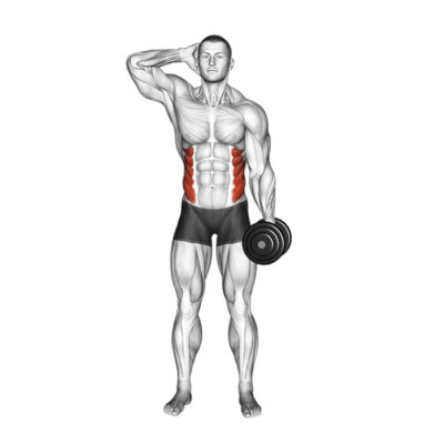 Flexions latérales avec haltère - Musculation ciblé adapté au golfeur Flexions latérales avec haltère - Musculation ciblé adapté au golfeur
