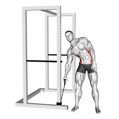 Flexions latérales élastique ou poulie - Musculation ciblé adapté au golfeur Flexions latérales élastique ou poulie - Musculation ciblé adapté au golfeur