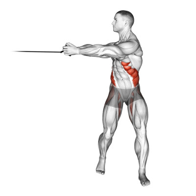 Rotation du buste - Musculation ciblé adapté au golfeur Rotation du buste - Musculation ciblé adapté au golfeur