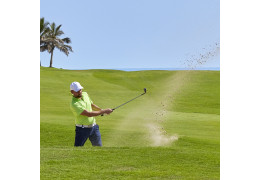 Les cinq domaines de cométences à développer en golf Les cinq domaines de cométences à développer en golf